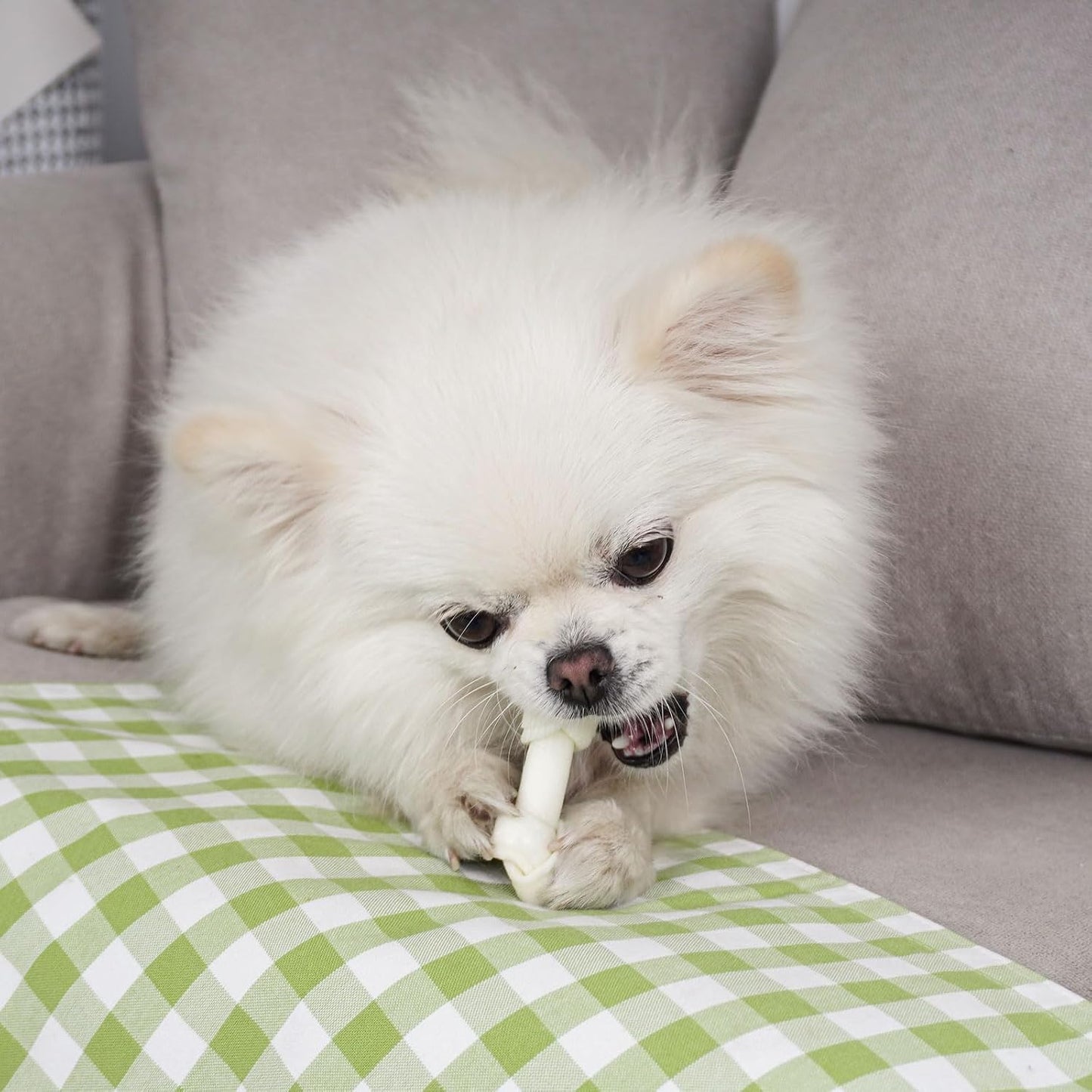 MON2SUN premium imported pet treats side profile