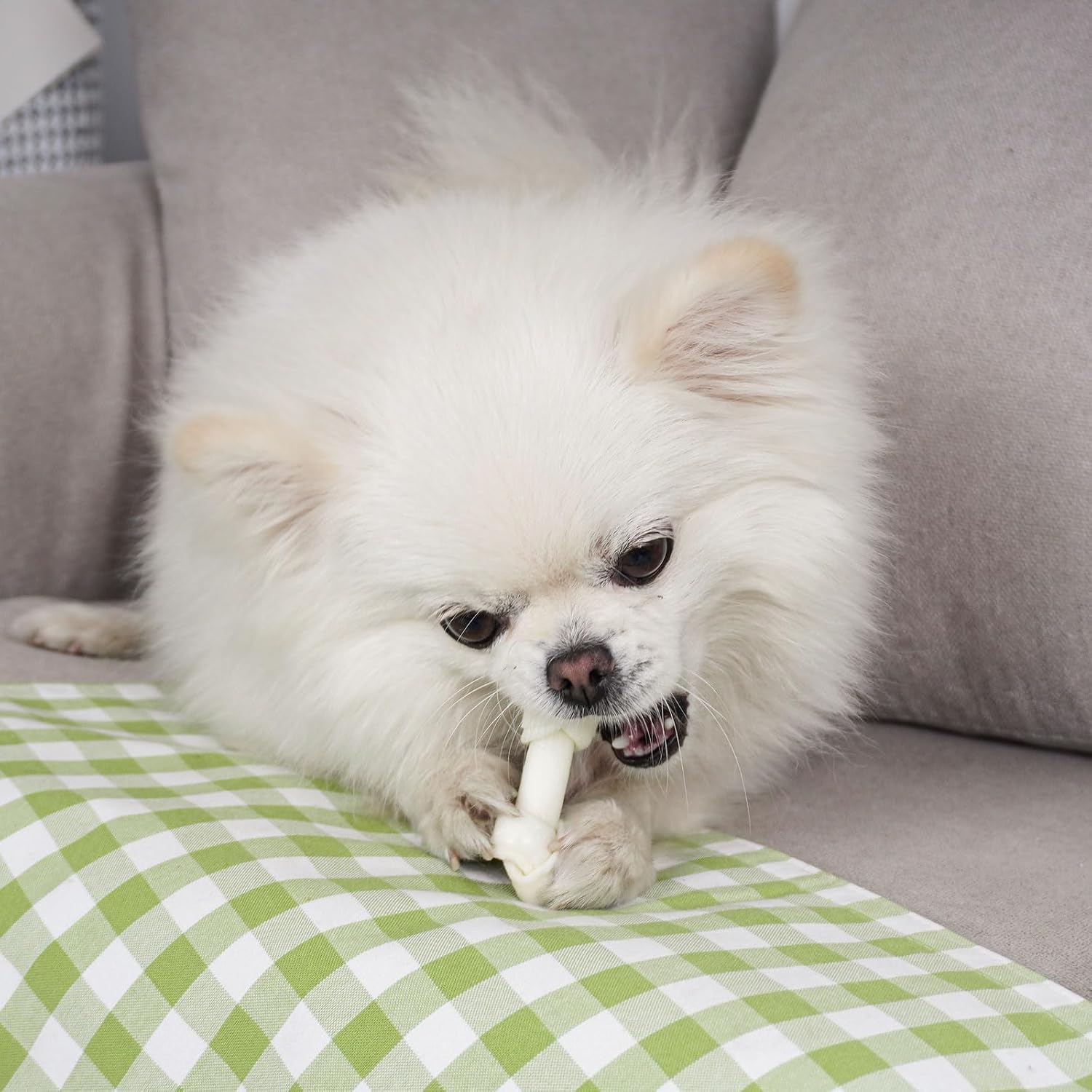 MON2SUN premium imported pet treats side profile