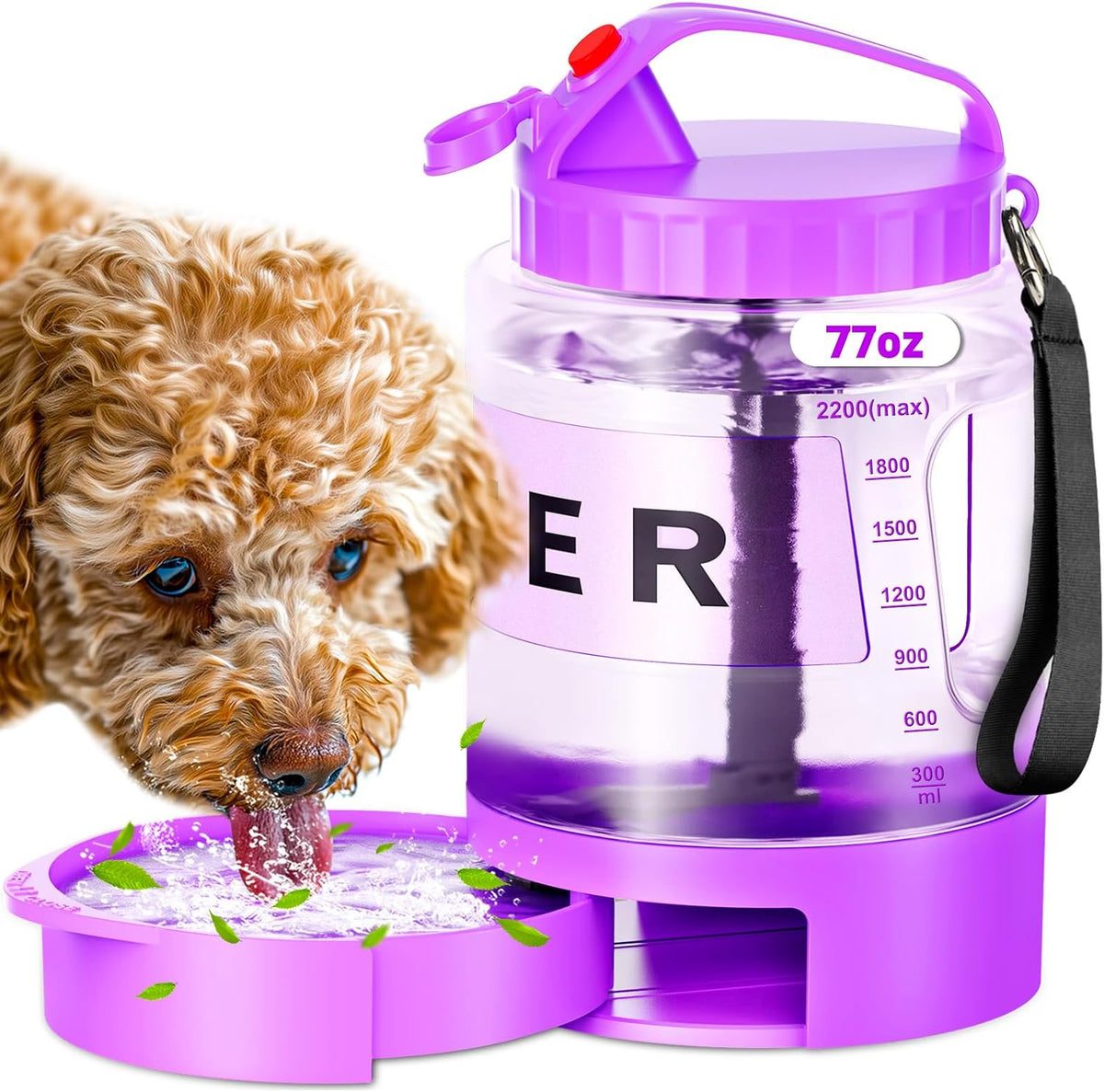 SwSun large dog water bottle purple front view portable travel pet dispenser