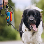 Lepawit pet poop bag holder containing keys and dog treats