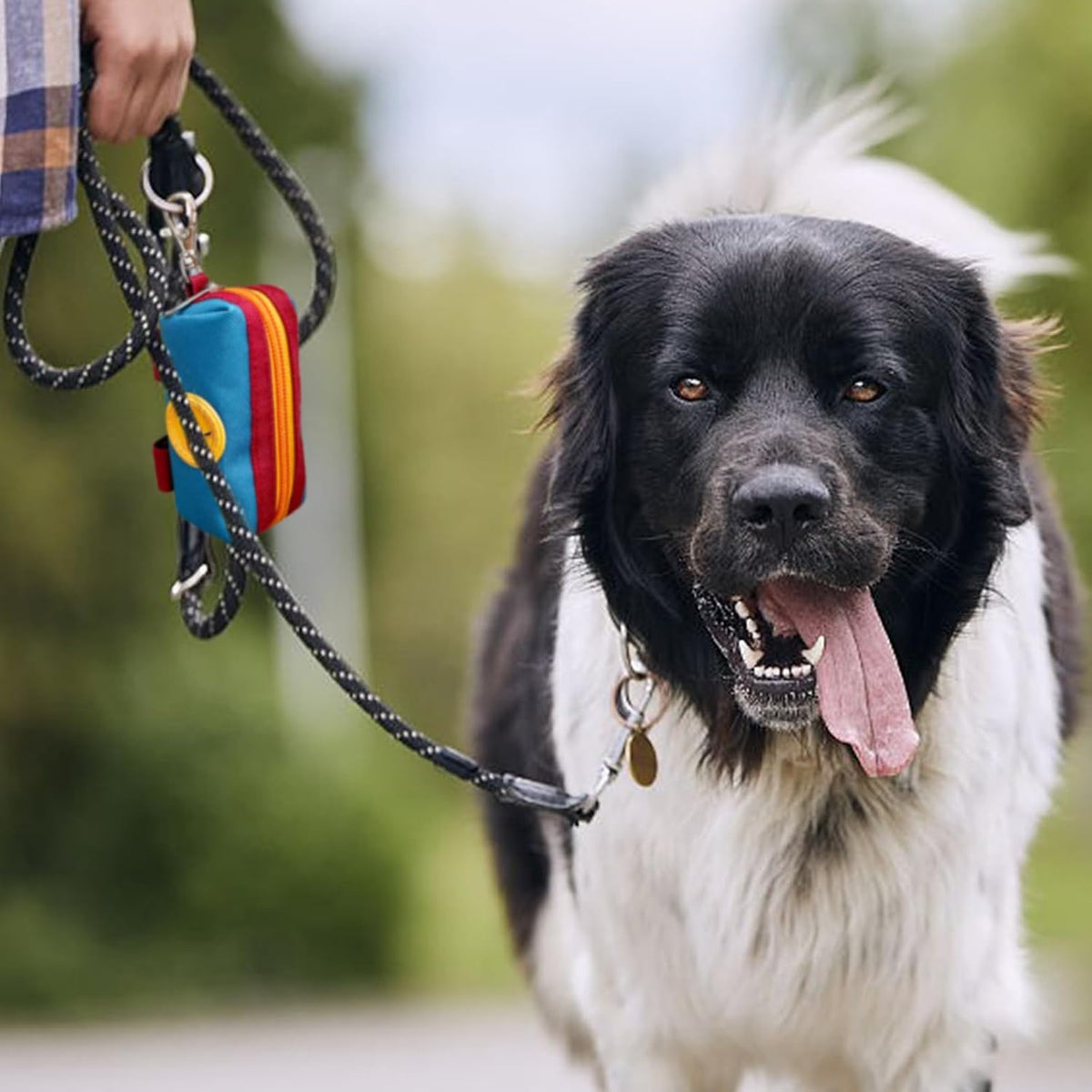 Lepawit pet poop bag holder containing keys and dog treats