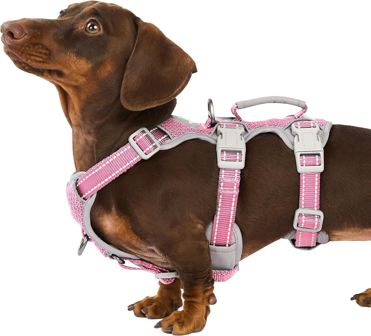 Huntboo Escape Proof Harness, No Slip Dog Harness Escape Proof, Fully Reflective Harness with Handle, Breathable, Durable, Adjustable Vest for Medium Dogs Walking and Training Gear (Black, M) - Image 14