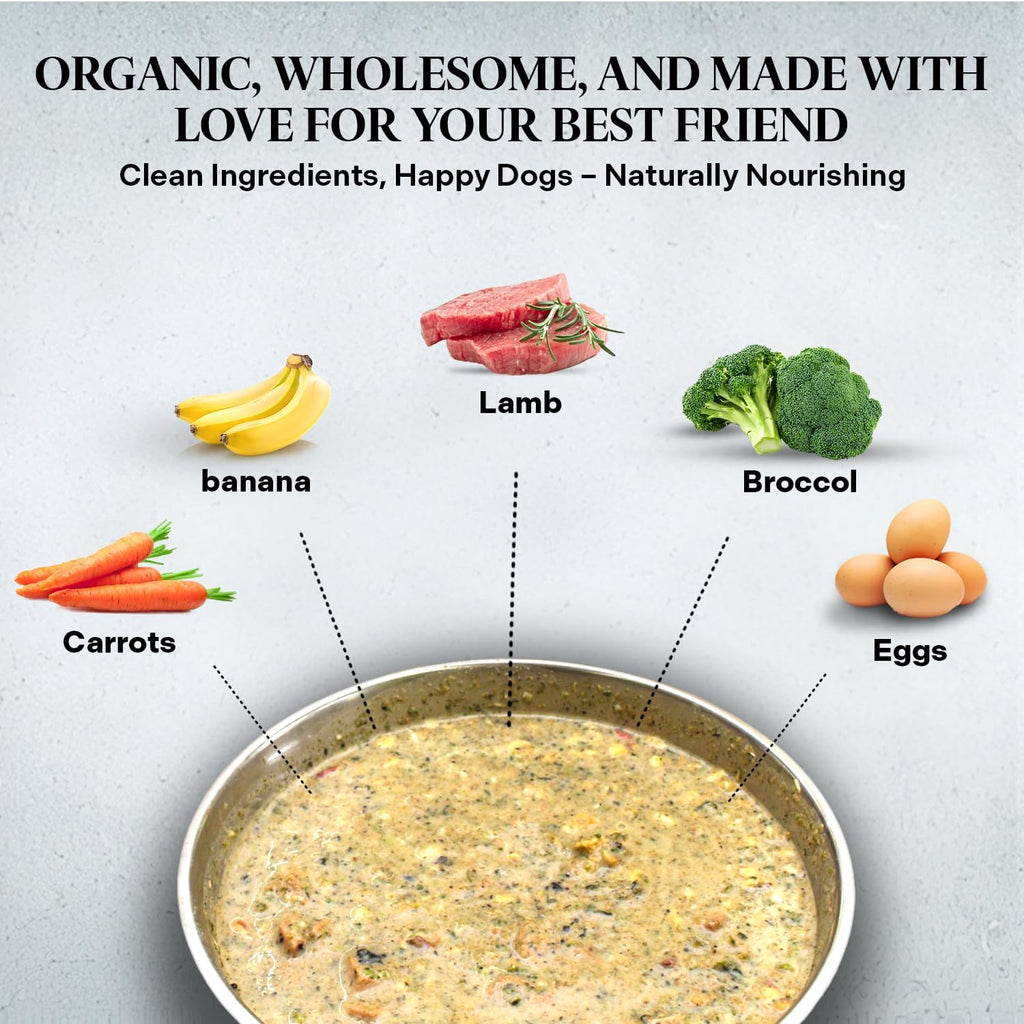 Healthy Dogma PetMix dehydrated food texture and bowl presentation
