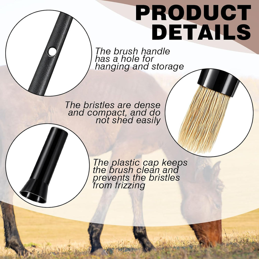 Close up of Ferrochef horse hoof applicator brush with protective storage lid attached.
