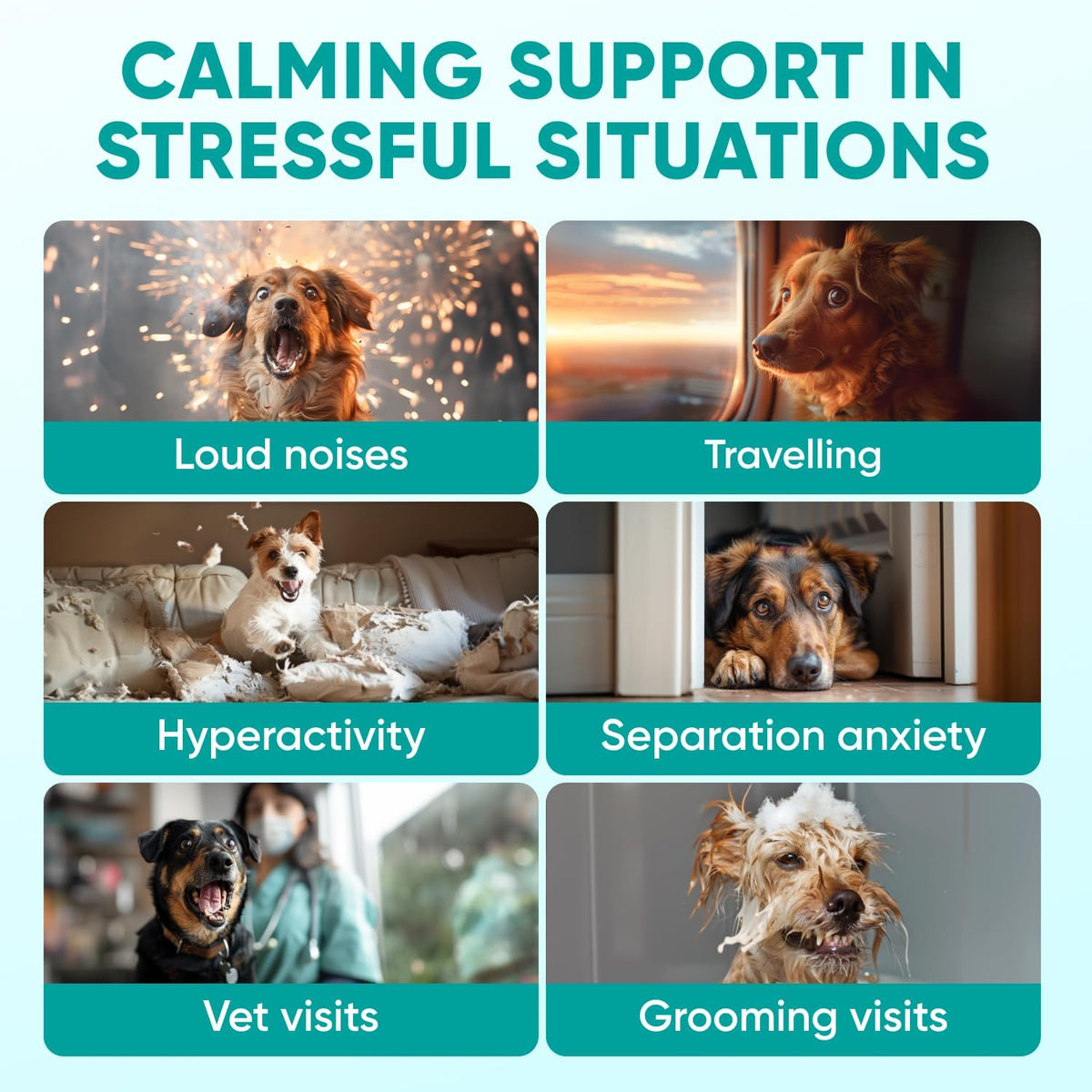 Pawzitive Pets dog anxiety relief soft treats container showing chamomile and melatonin ingredients