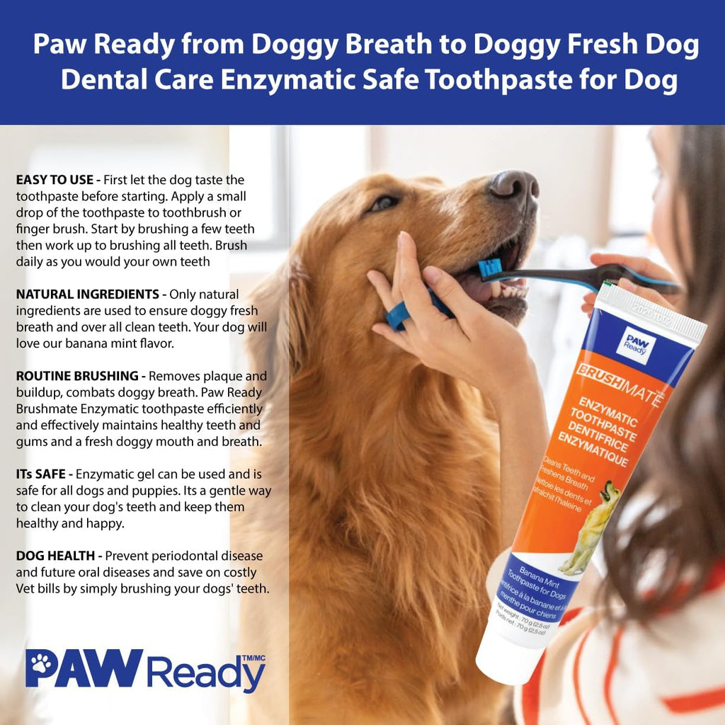 Authentic Paw Ready toothpaste for clinical dog dental care