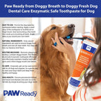 Paw Ready canine enzymatic oral care gel highlighting clinical care formula