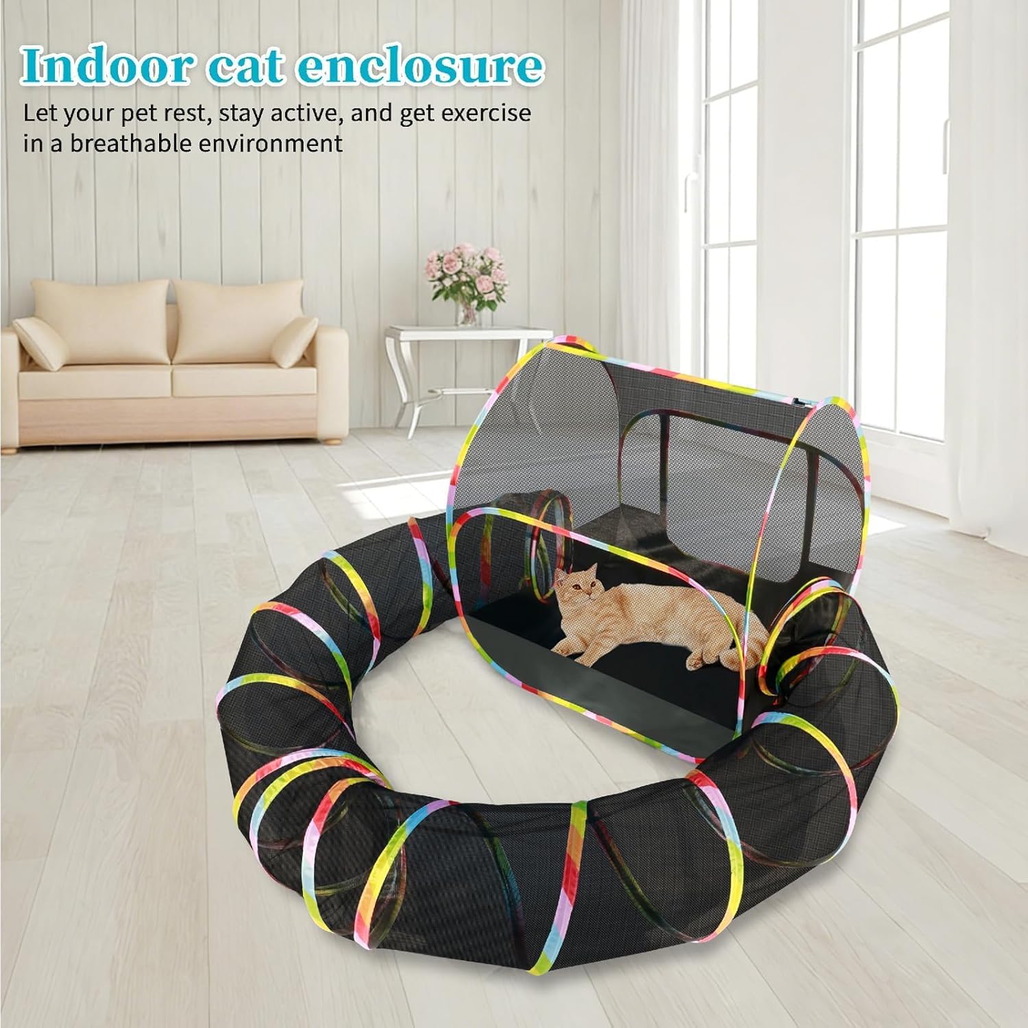 Spacious interior of the outdoor pet enclosure holding a litter box and cat toys