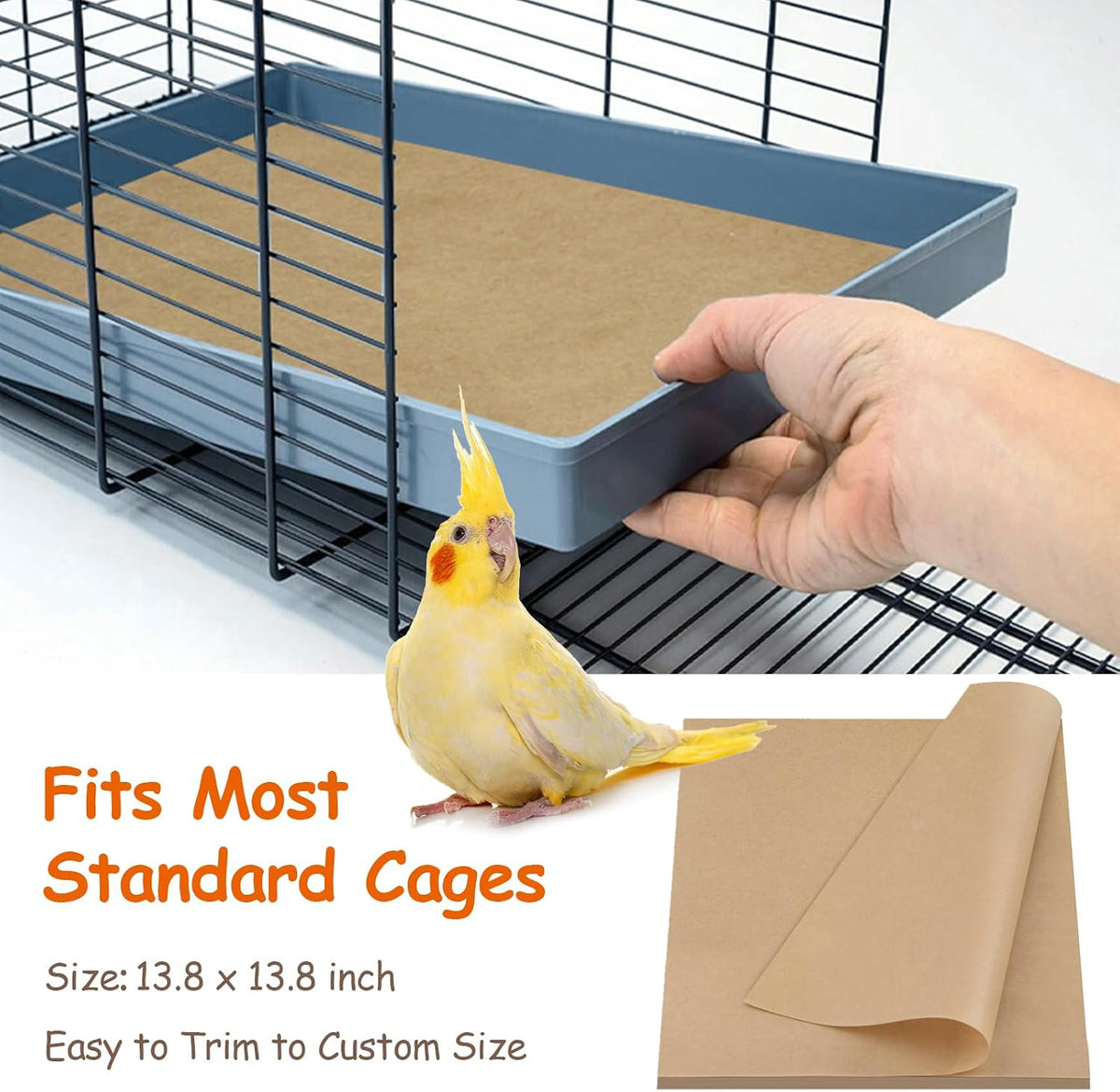 Ovesd bird waste pads displayed for parakeet cages