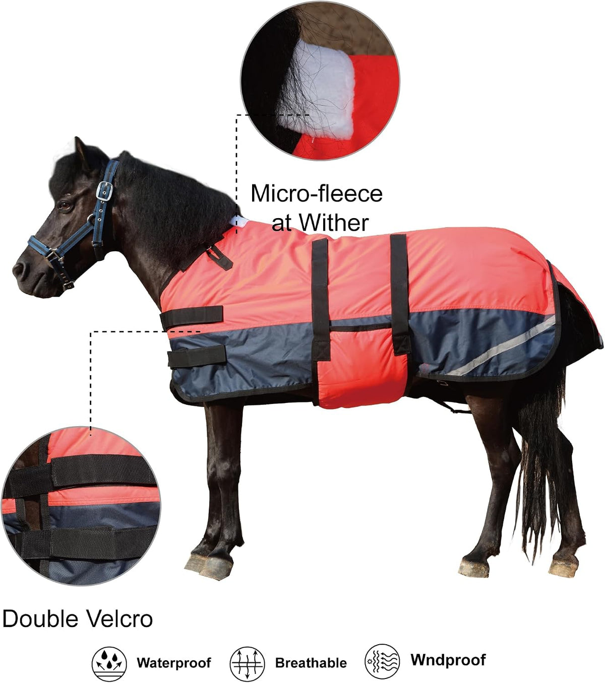 Gallopoff fluorescent red mini horse blanket side view
