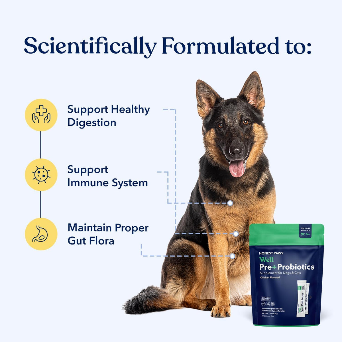Honest Paws dog prebiotic and probiotic powder stick pack for immune support.