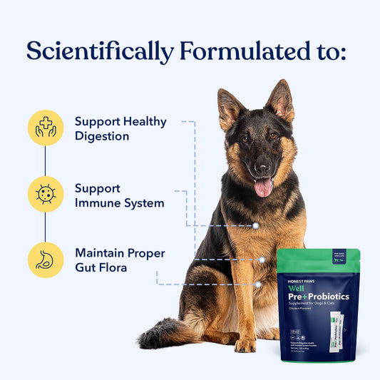 Honest Paws dog prebiotic and probiotic powder stick pack for immune support.