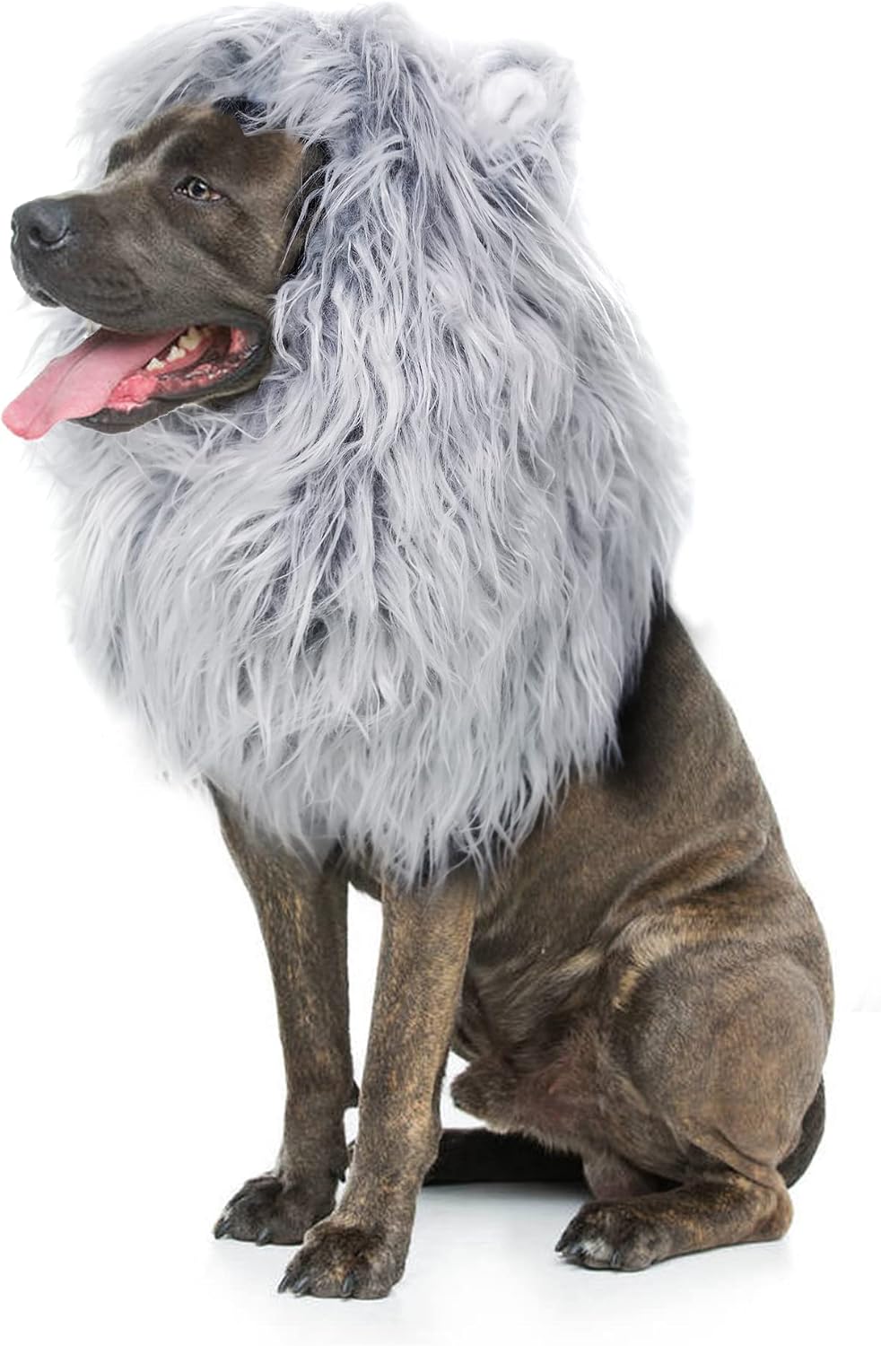 Onmygogo Lion Mane Wig for Dogs with Ears, Funny Pet Costumes for Halloween Christmas - Image 9