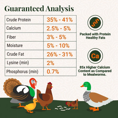 Comparison chart showing high calcium content of black soldier fly larvae