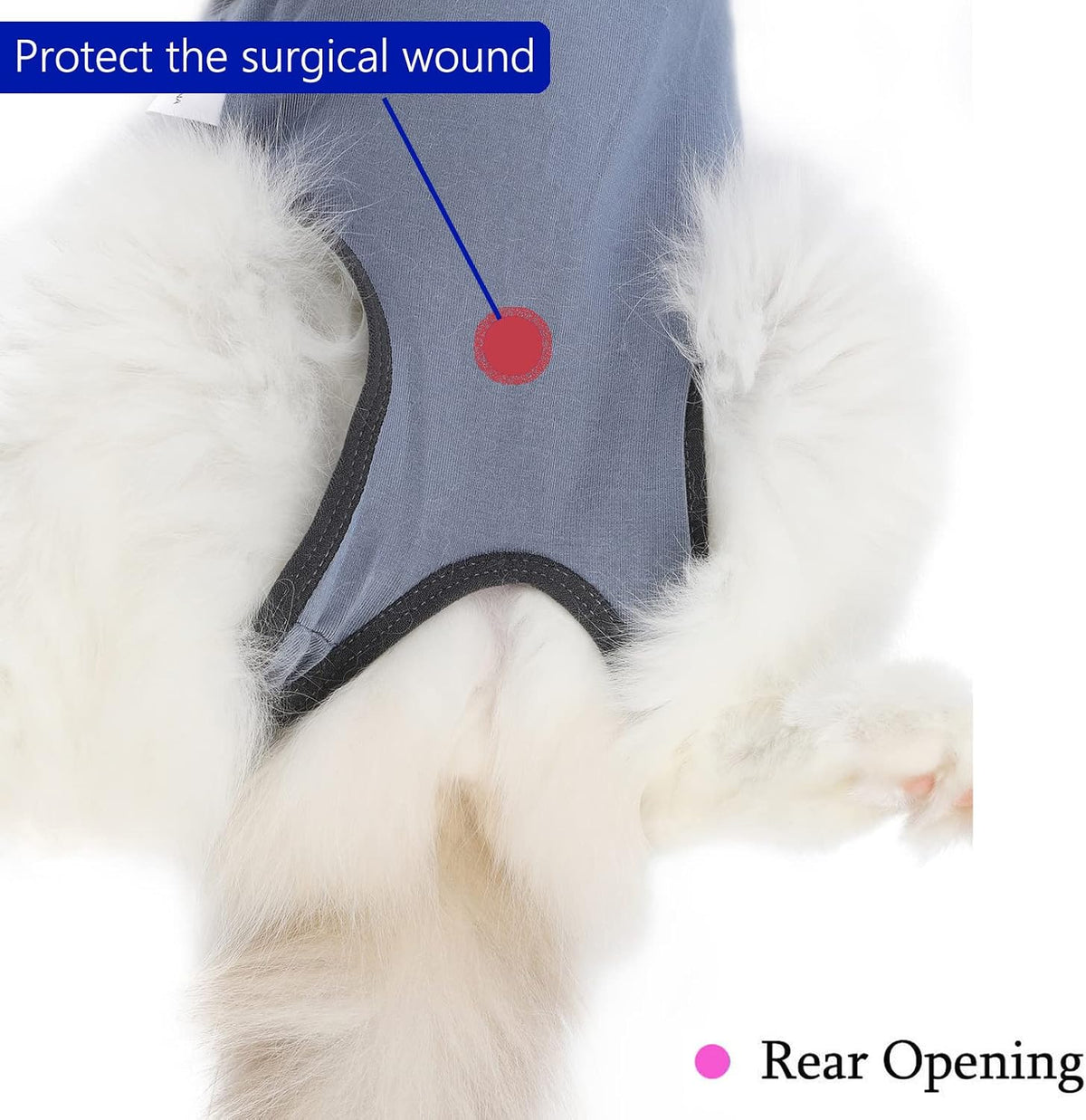 Alternative to plastic cone of shame kzrfojy brand cat spay suit
