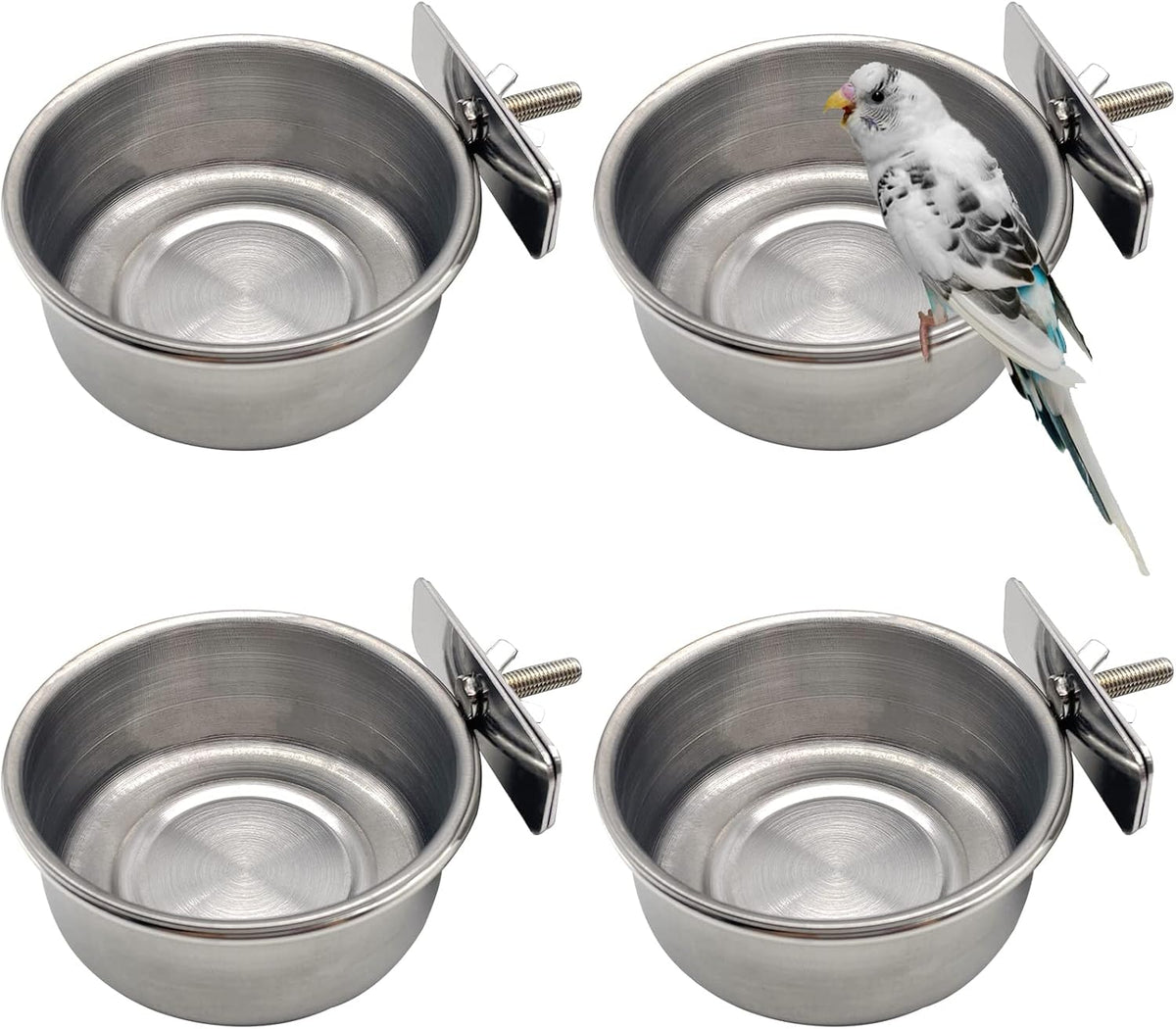 Tfwadmx Bird Feeding Dish Cups Parrot Food Bowl Clamp Holder Coop Cup, 2PCS Bird Cage Water Bowl for Parakeet African Greys Conure Cockatiels Lovebird Budgie Chinchilla - Image 11