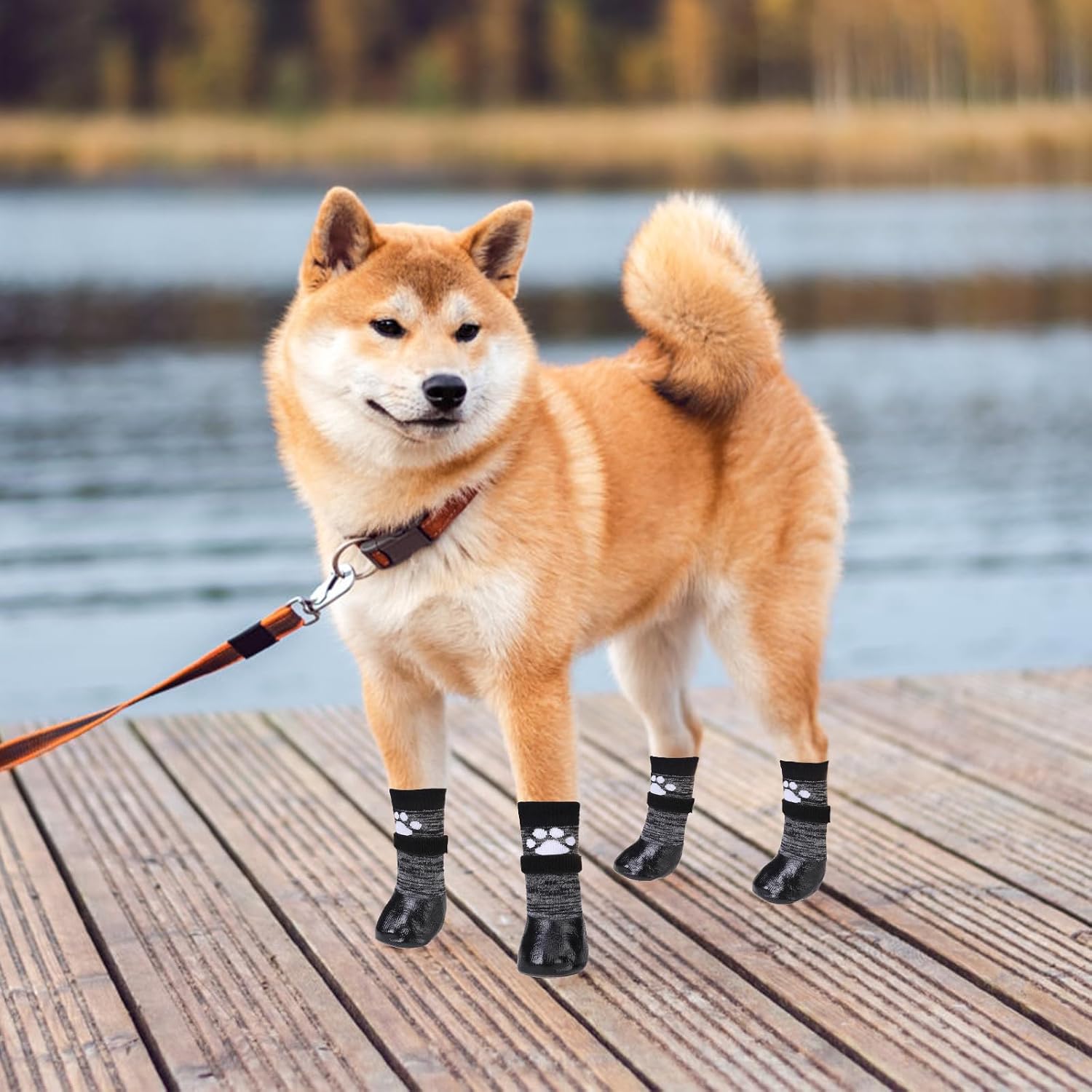Kooltail dog socks showing paw print design and texture