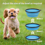 Food grade silicone travel pet dish holding fresh water for an outdoor dog walk