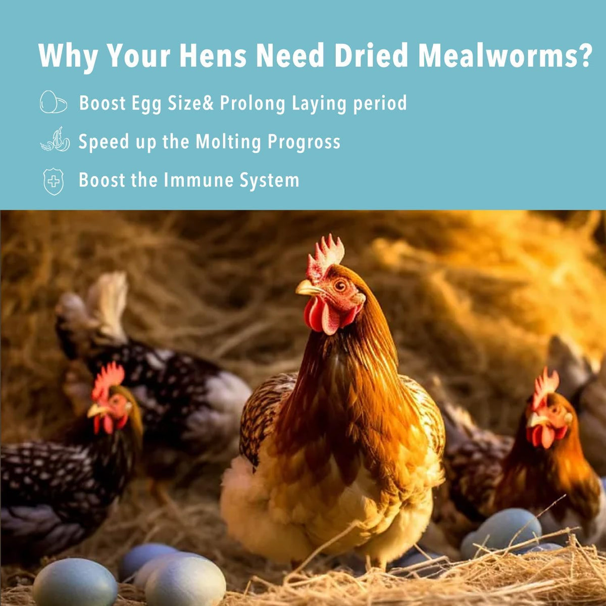 Poultry and wild bird high protein feed bag layout
