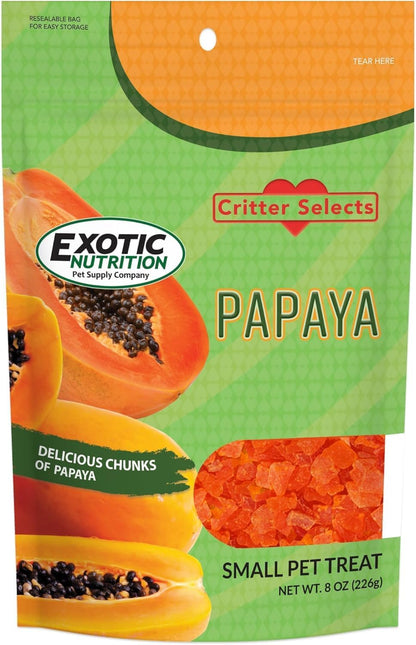 Exotic Nutrition Papaya Treat front packaging view showcasing dried fruit cubes for small pets.