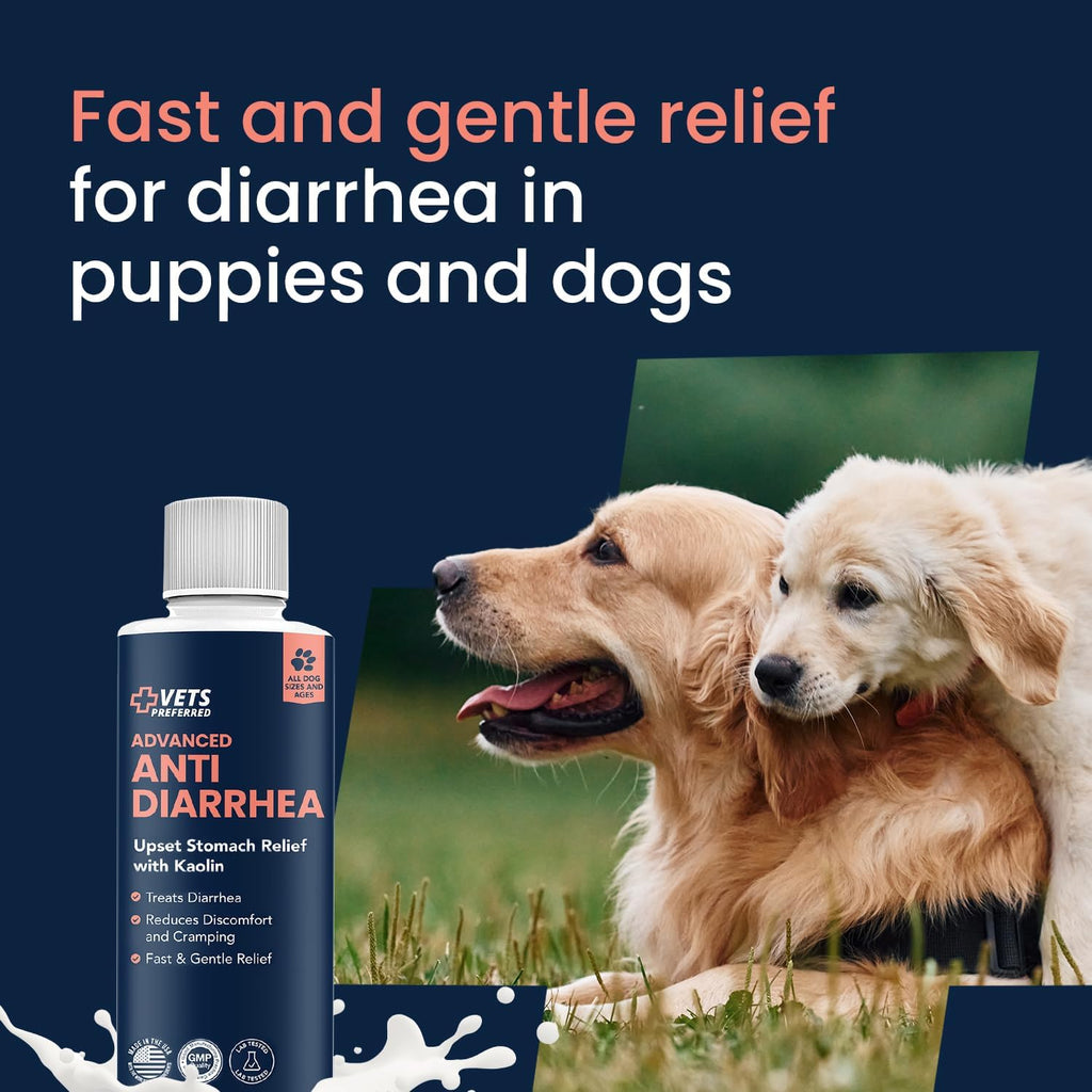 Vets Preferred veterinarian grade digestive support for dogs