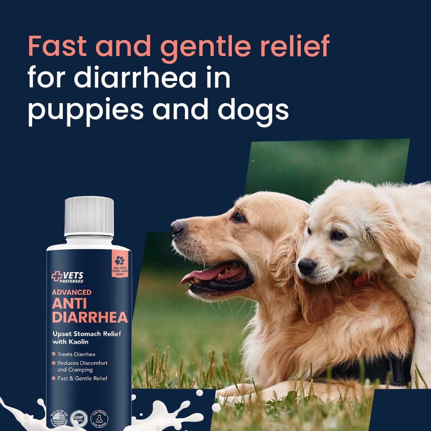 Vets Preferred veterinarian grade digestive support for dogs