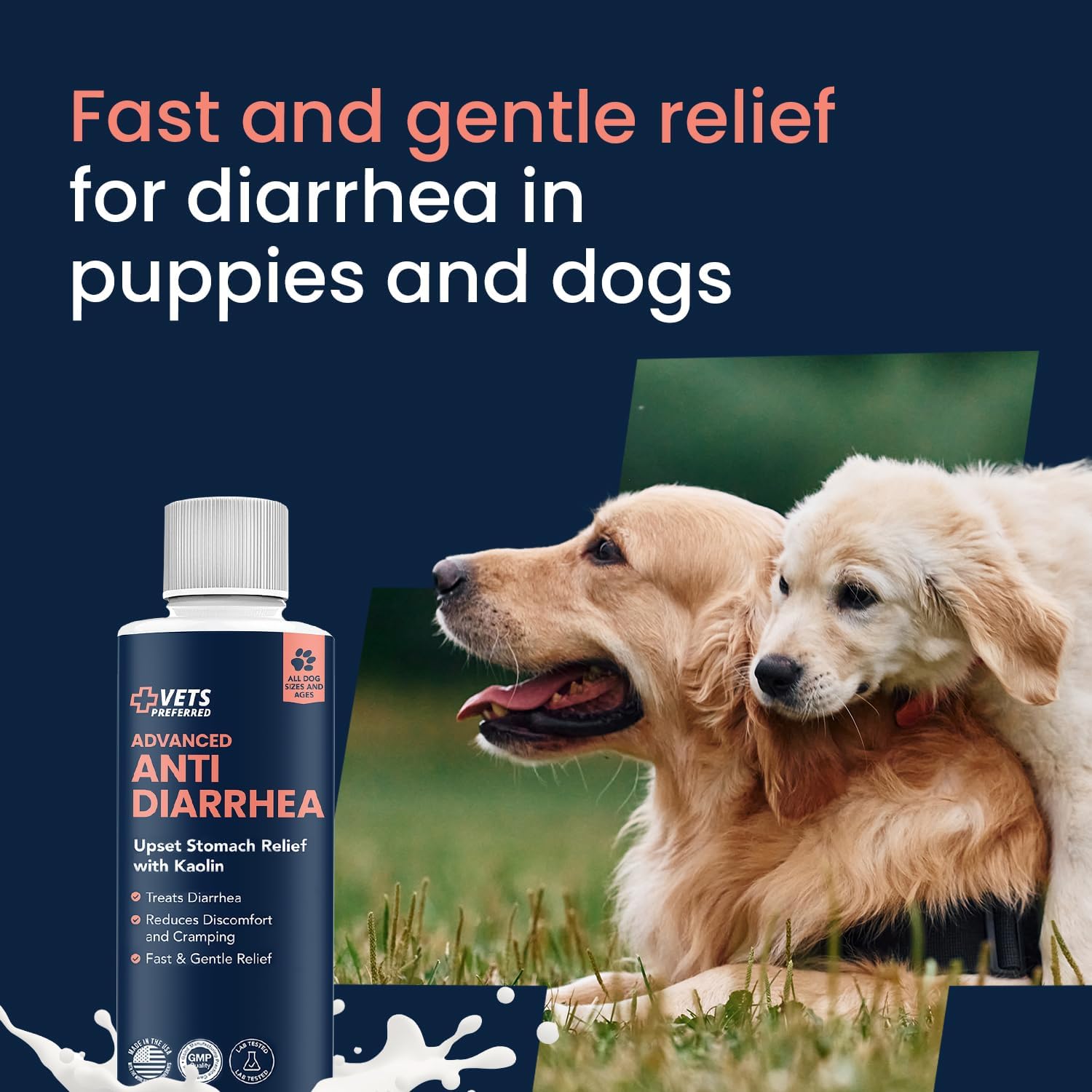 Vets Preferred veterinarian grade digestive support for dogs