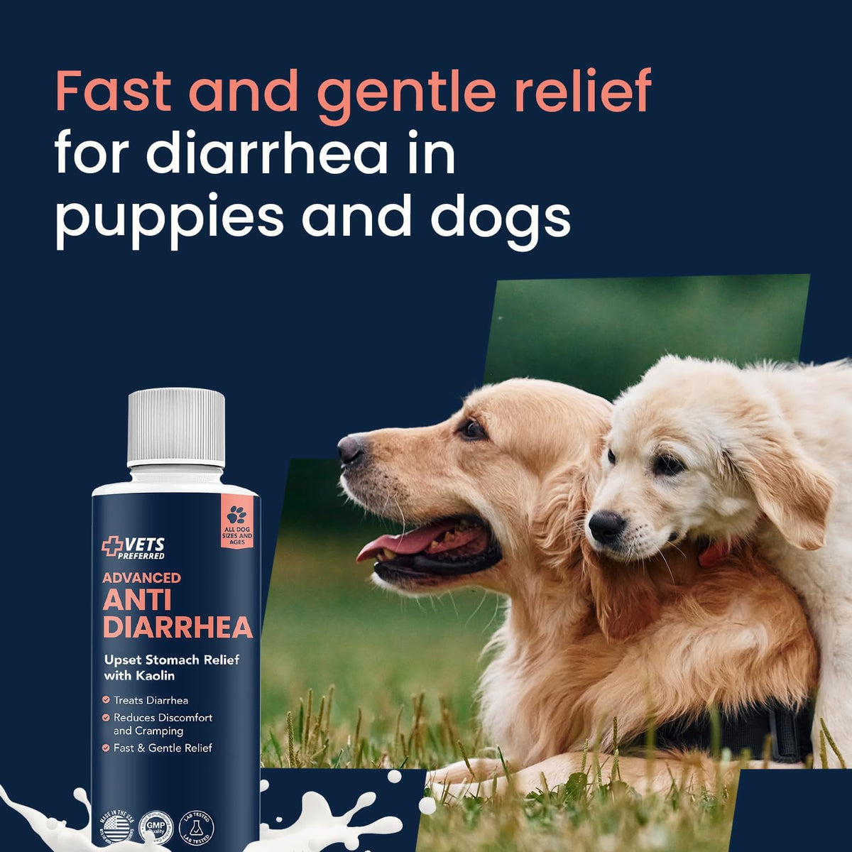 Vets Preferred veterinarian grade digestive support for dogs