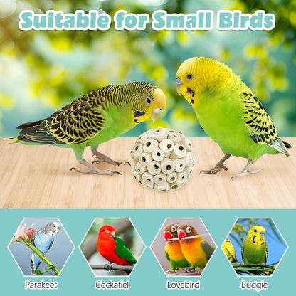 PINVNBY pack of twelve sola balls showing size dimensions for small pet birds.