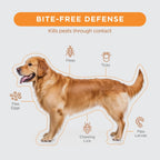 Fast acting tick and flea control for small dogs eight weeks or older