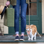 Premium imported cat harness and leash set with 360 degree rotating hook