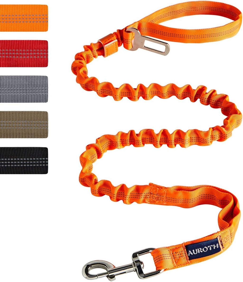 AUROTH Heavy Duty Bungee Dog Leash for Shock Absorption - 6FT Black Training Leash with 2 Padded Handles for Medium Large Breed Dogs - Image 10