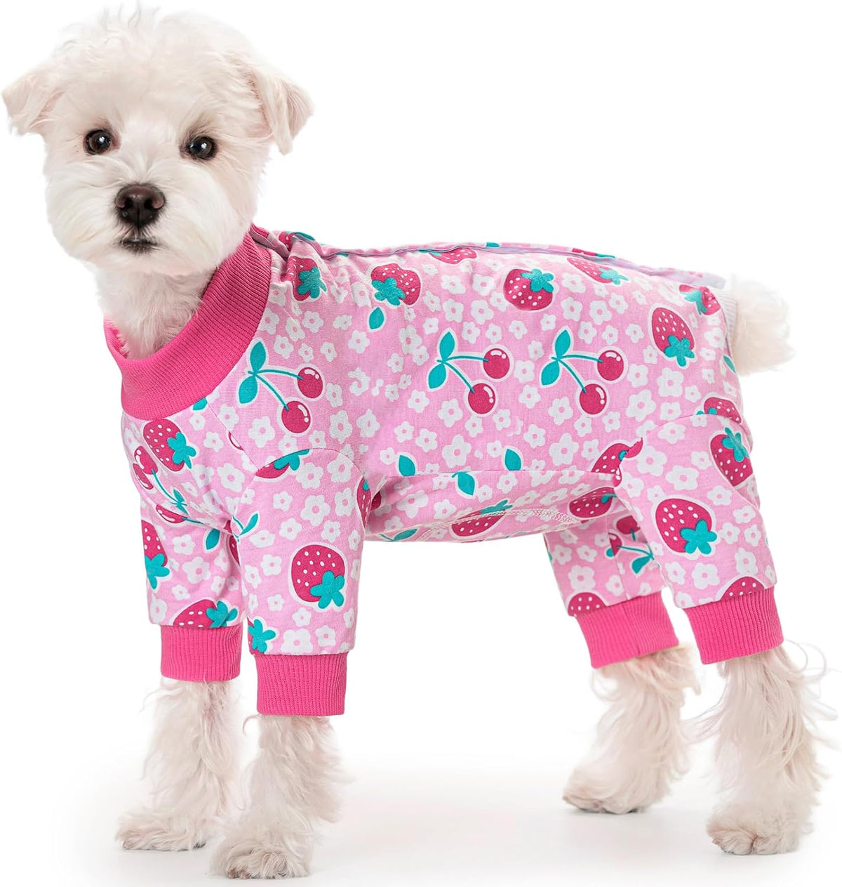 AITOLI premium pet medical care suit package details and sizing instructions