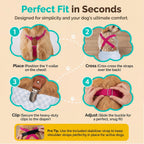 Beige color option of adjustable INNERZEN puppy diaper harness straps