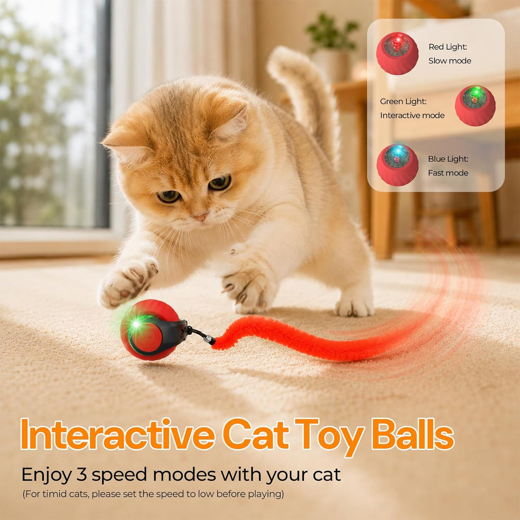 Smart rechargeable rolling ball for cats showing interchangeable tails