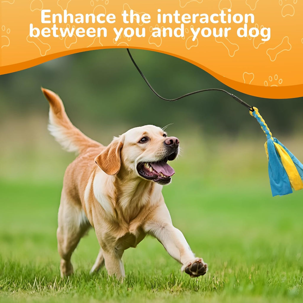 Comfortable non slip sponge handle on a telescopic pet training wand