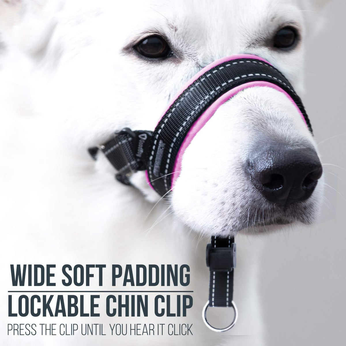 Adjustable nylon dog training collar with reflective stitching detail