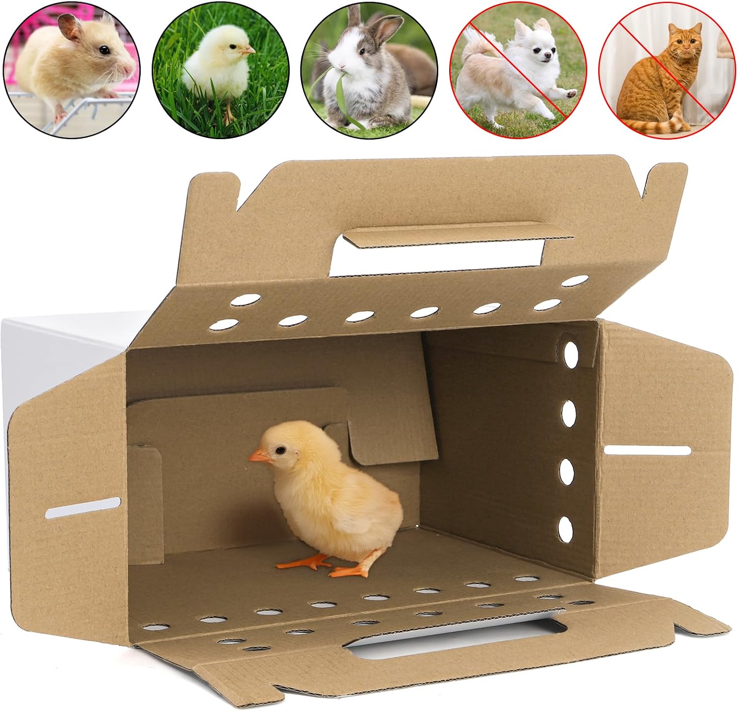 Coloch 20 Pack Cardboard Pet Carrier for Small Pets, 11x8x6 Inches Disposable Pet Transport Box for Pullets, Fowls, Hamsters, Gerbils, Reptiles, Guinea Pigs - Image 4