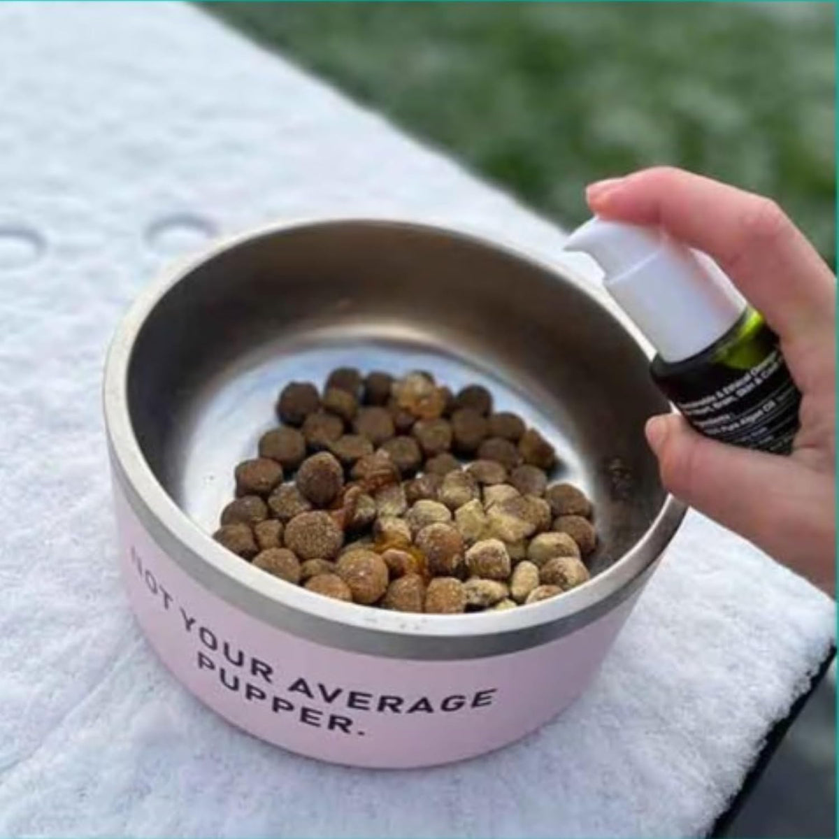 Dropper application view demonstrating how to easily measure the concentrated DHA and EPA liquid for cat food.