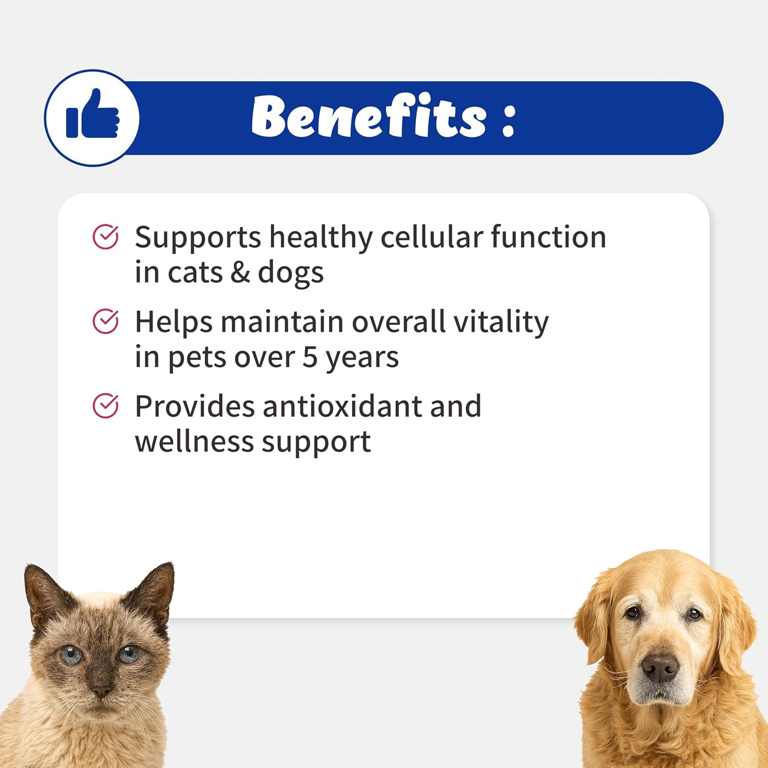 Branvine NAD+ CellVet for cats and dogs container