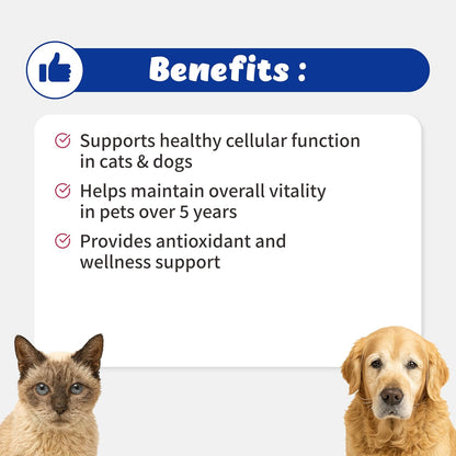 Branvine NAD+ CellVet for cats and dogs container