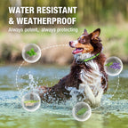 EcoVenger Flea Collars for Dogs & Cats - Flea & Tick Repellent 2-Pack Green. Built-in Pant-Based Formula Strong Repellency Slow Release, Lasting Protection, Pleasant Aroma, Waterproof - Image 6