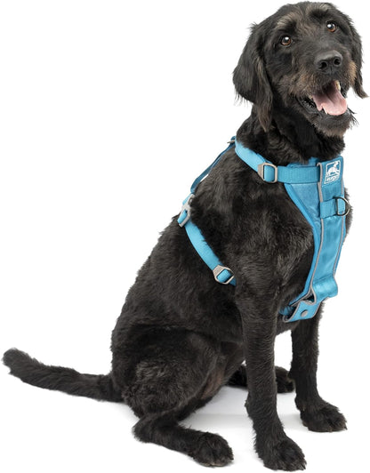 Kurgo Tru-Fit Smart Dog Walking Harness - Comfortable Fit - Adjustable Harness - Reflective Pet Wear - Quick Strap Release - Daily Walk Accessory - Includes Seat Belt Loop - Black - Large - Image 10