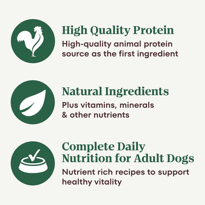 Natural adult wet dog food variety pack twelve count box side view