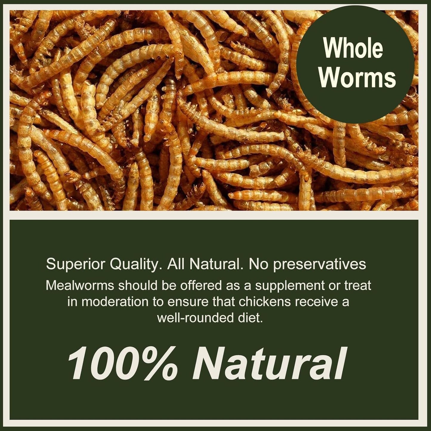 Close up view of natural dried mealworms texture