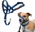 Halti Headcollar - Stop Your Dog Pulling on the Leash. Adjustable, Reflective and Lightweight, with Padded Nose Band. Dog Training Anti-Pull Collar for Medium Dogs (Size 3, Black) - Image 11