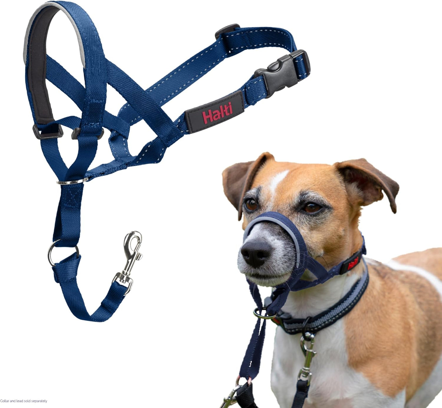 Halti Headcollar - Stop Your Dog Pulling on the Leash. Adjustable, Reflective and Lightweight, with Padded Nose Band. Dog Training Anti-Pull Collar for Medium Dogs (Size 3, Black) - Image 11