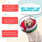 A dog eating from a bowl easily while wearing the watermelon donut collar