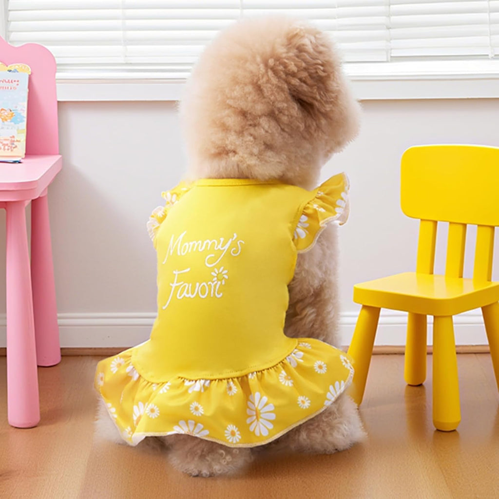 Authentic XPUDAC girl dog dresses package showcasing the premium stitching quality