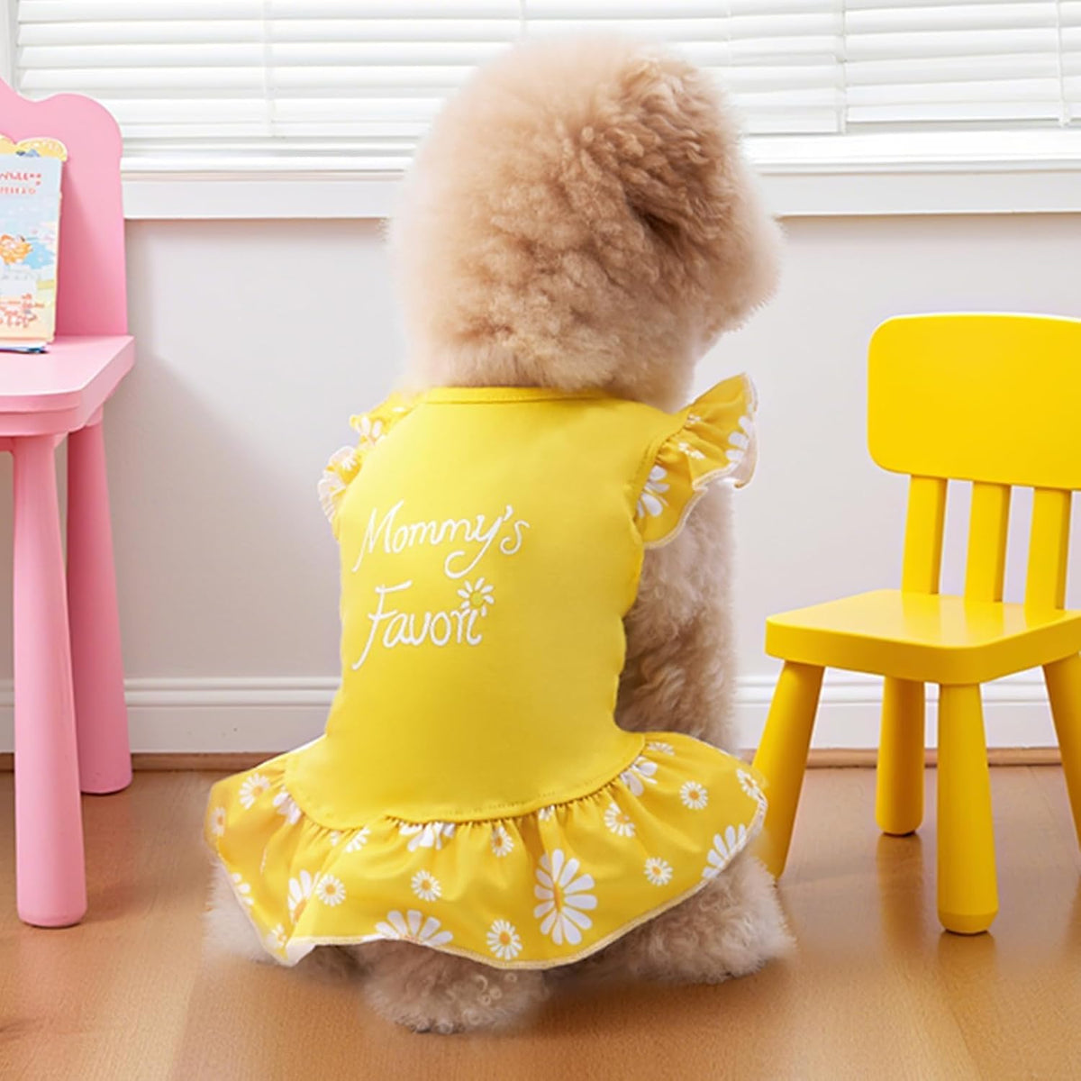 Authentic XPUDAC girl dog dresses package showcasing the premium stitching quality